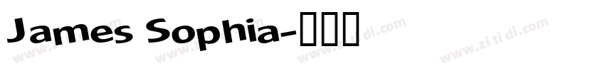 James Sophia字体转换